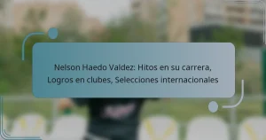 Nelson Haedo Valdez: Hitos en su carrera, Logros en clubes, Selecciones internacionales